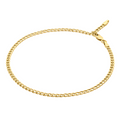 Gold Adjust25.5cm - RubyJade able Curb Chain Anklet – 