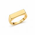 9ct yellow gold longline signet ring with a blank rectangular face and slim polished band.
